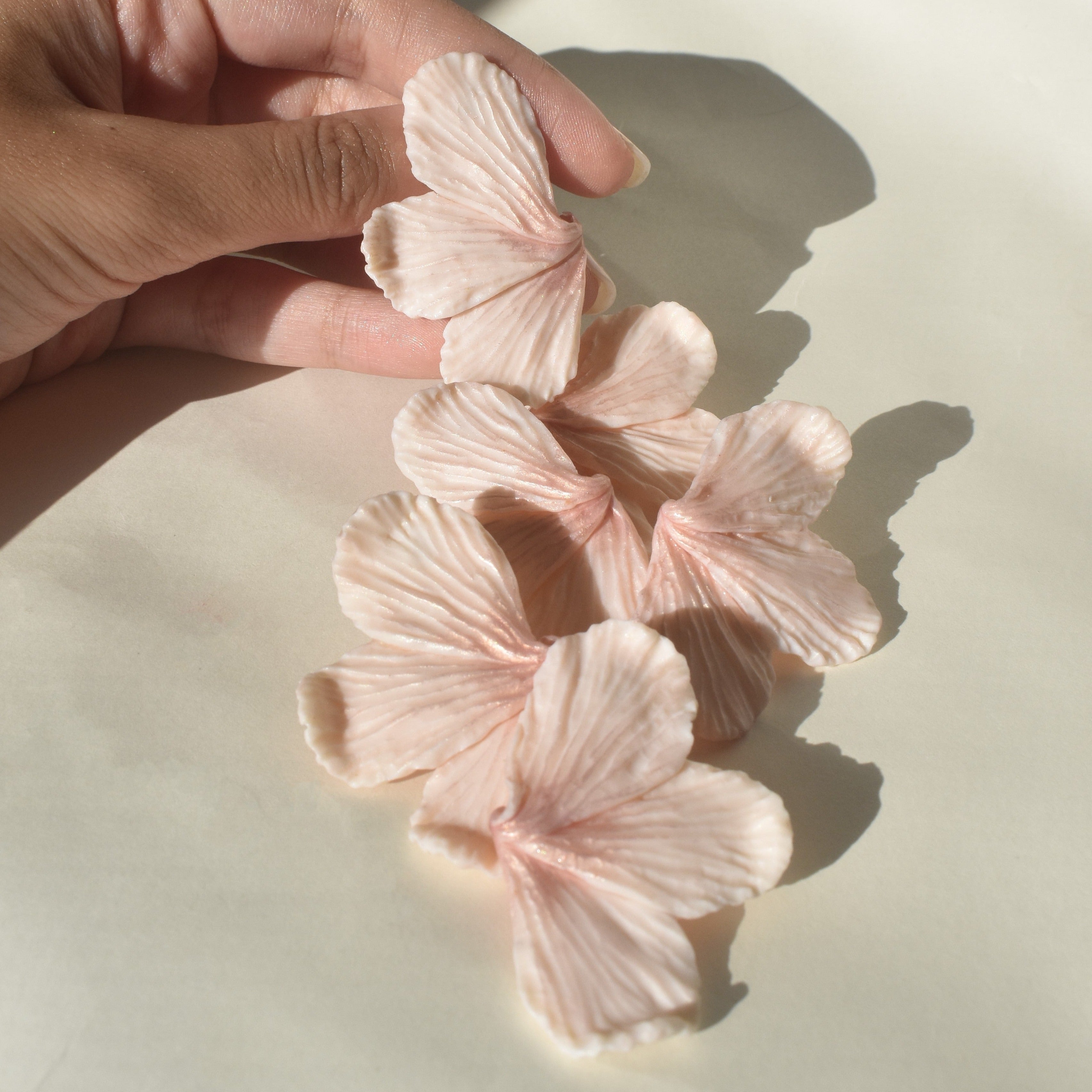 Shimmering Lily Blossoms - Cashmere