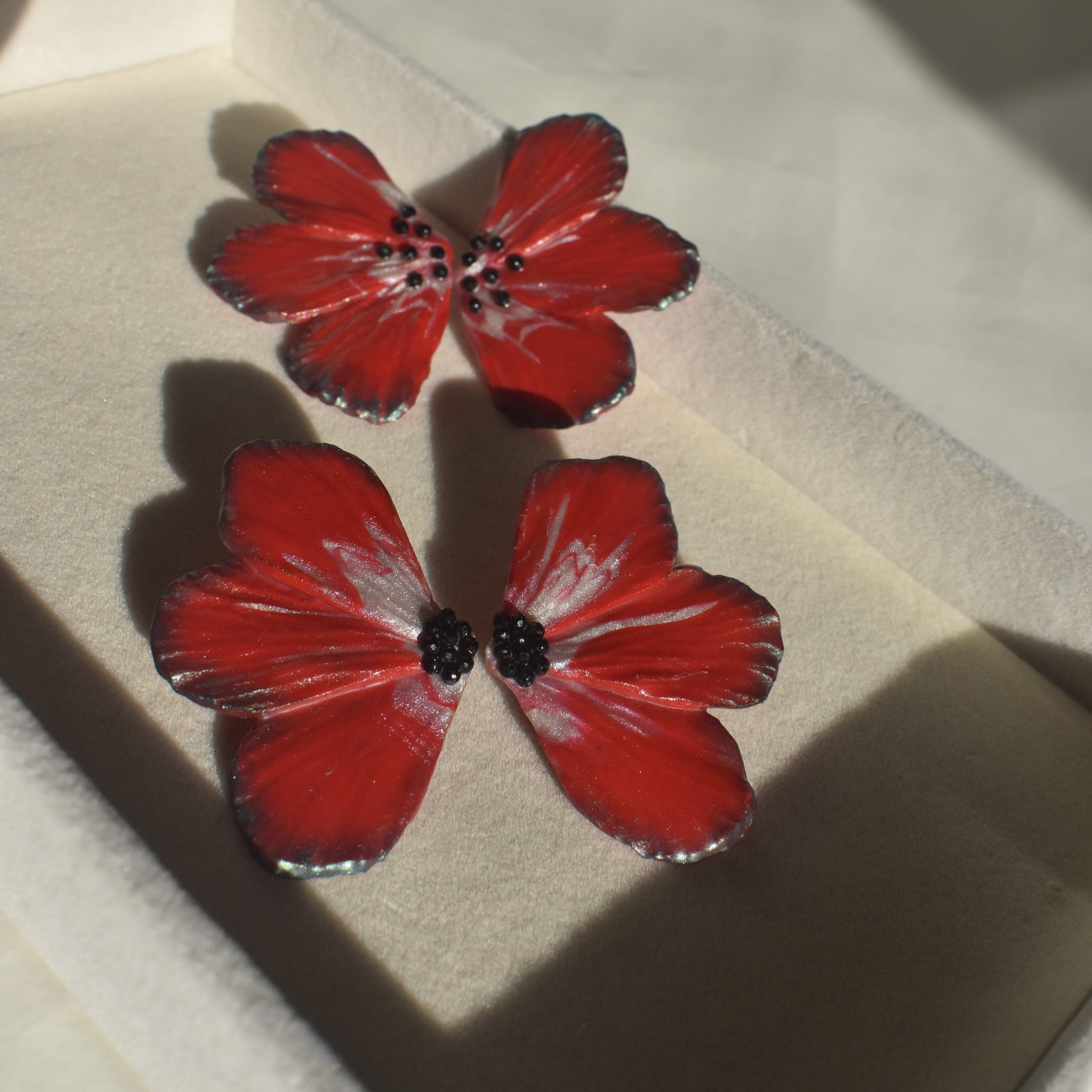 Palestinian Red Poppy Flower