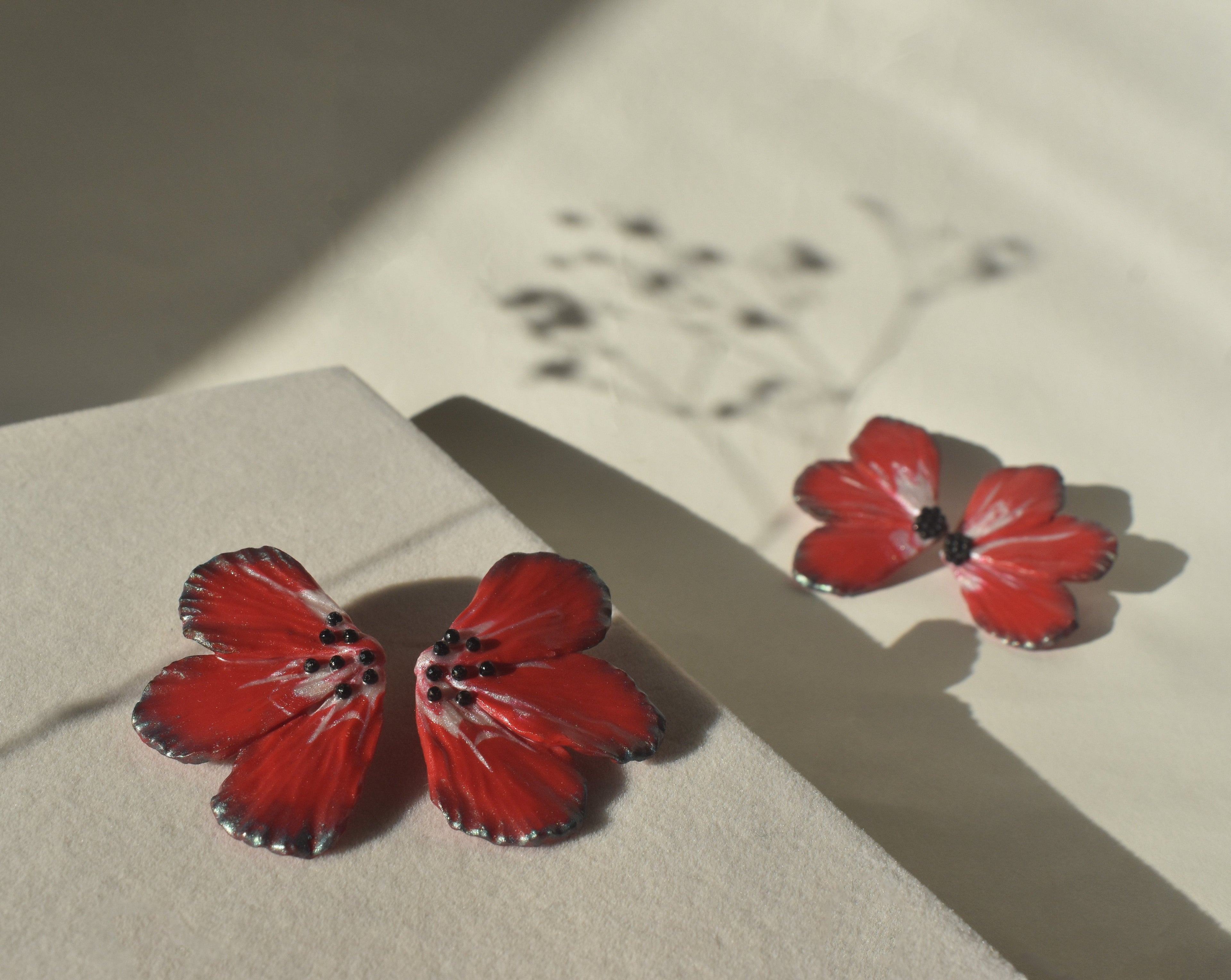 Palestinian Red Poppy Flower