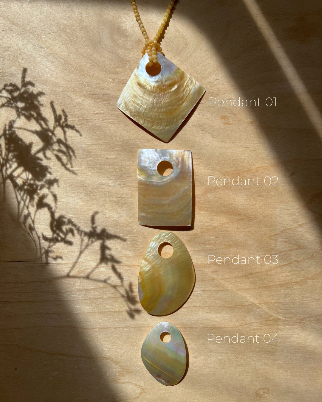 Dawn Shell Necklace no. 01